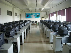 06级测控技术与仪器专业学雷锋活动总结